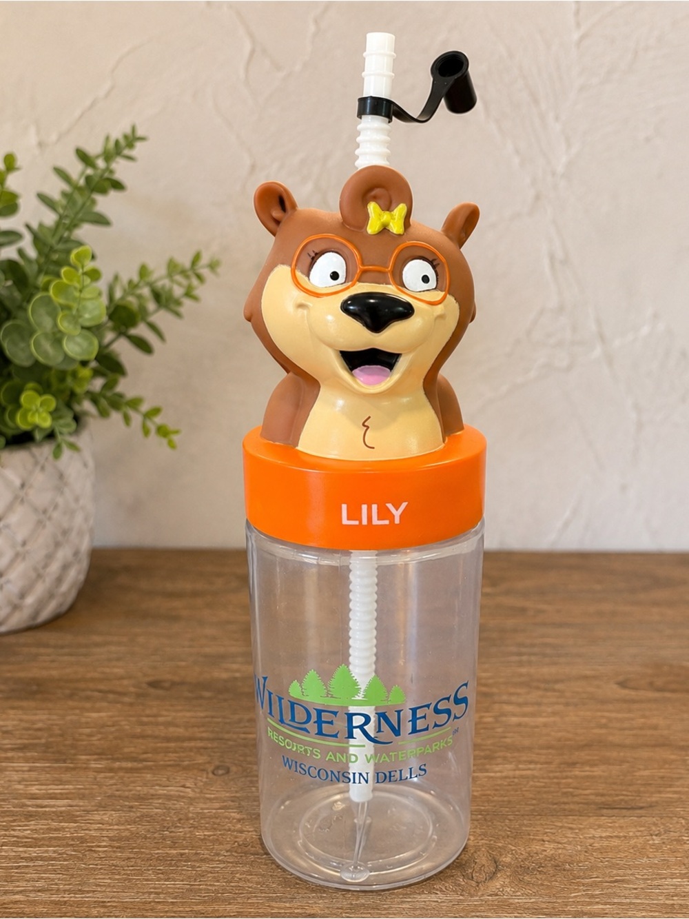 Wilderness Resort Wisconsin Dells Lily Bear Refillable Souvenir Cup